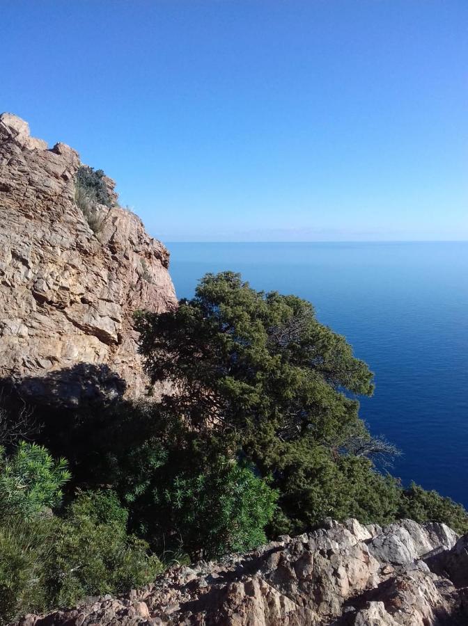 Le Roverelle Ilbono Buitenkant foto