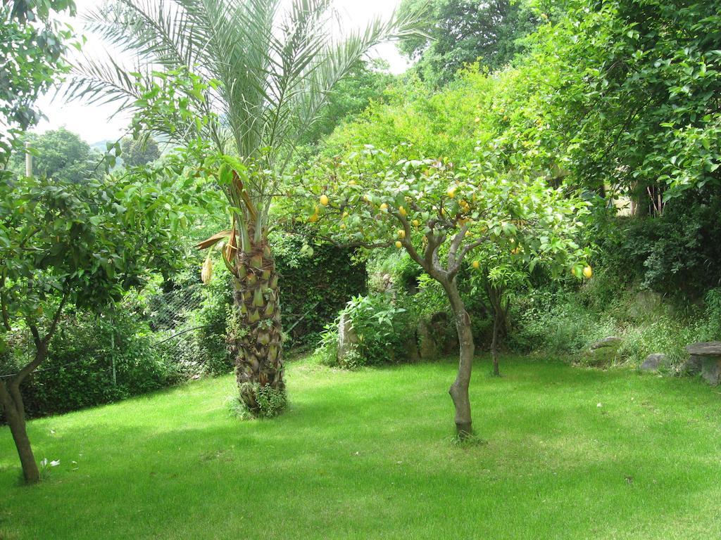 Le Roverelle Ilbono Buitenkant foto