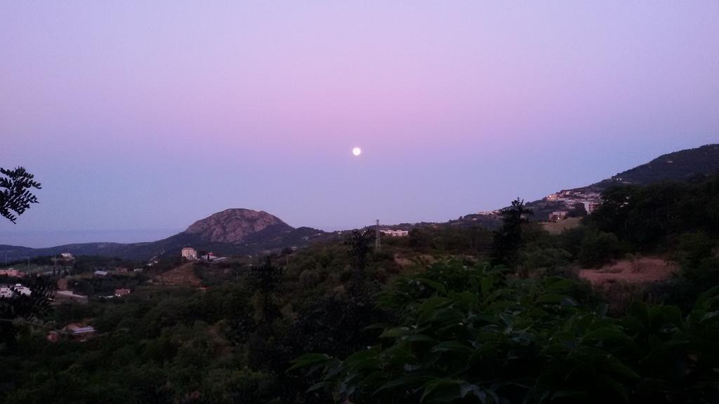 Le Roverelle Ilbono Buitenkant foto
